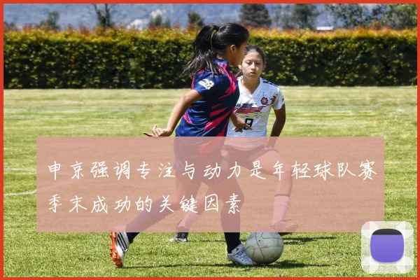 申京强调专注与动力是年轻球队赛季末成功的关键因素