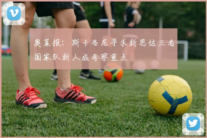 奥莱报：斯卡洛尼寻求新恩佐三名国家队新人成考察重点